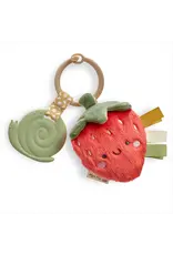 ITZY RITZY PLUSH & TEETHER