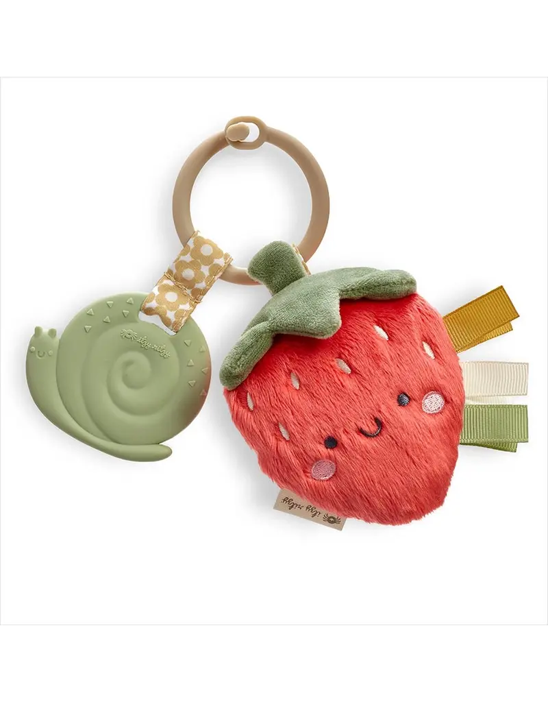 ITZY RITZY PLUSH & TEETHER