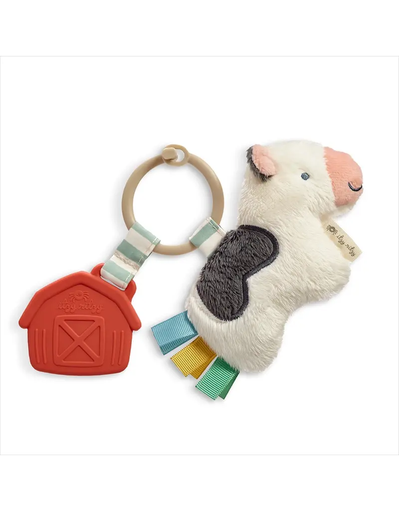 ITZY RITZY PLUSH & TEETHER