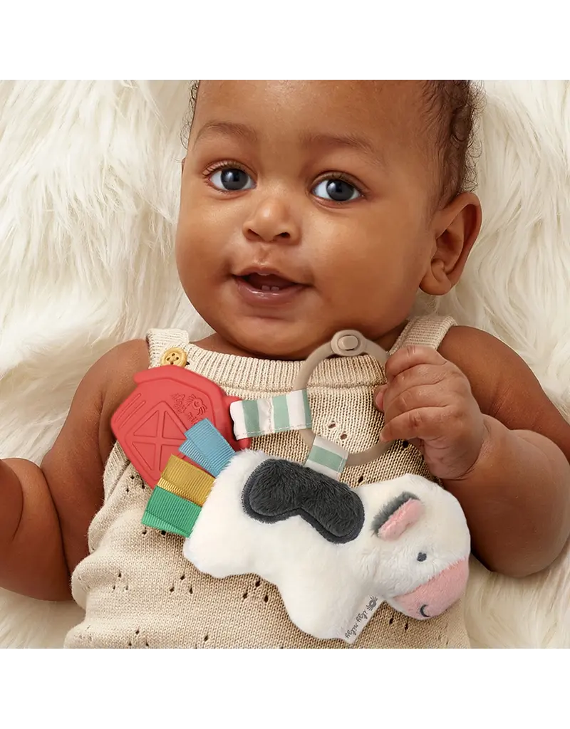 ITZY RITZY PLUSH & TEETHER