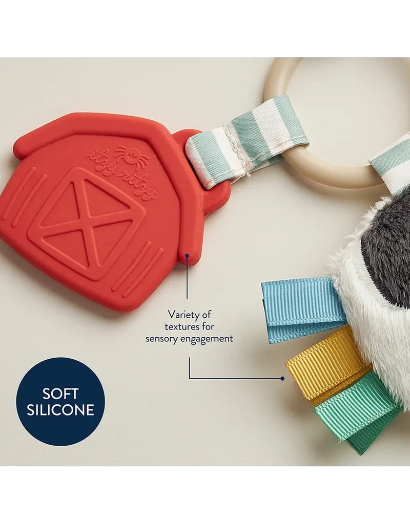 ITZY RITZY PLUSH & TEETHER