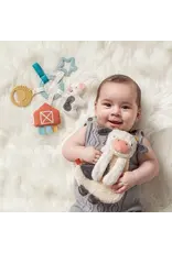 ITZY RITZY BUSY RING TEETHING ACTIVITY TOY