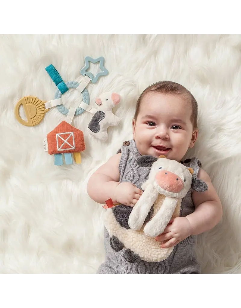 ITZY RITZY BUSY RING TEETHING ACTIVITY TOY