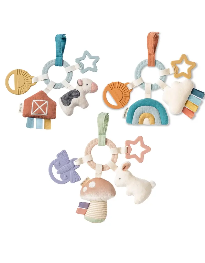 ITZY RITZY BUSY RING TEETHING ACTIVITY TOY
