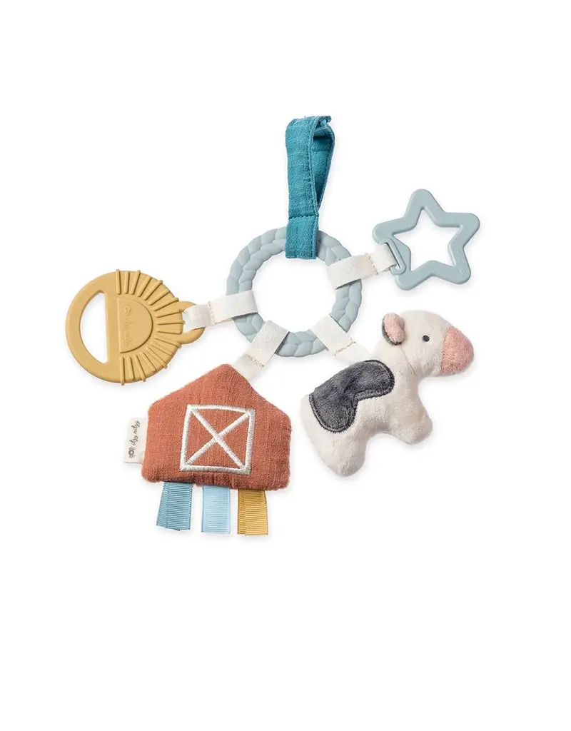 ITZY RITZY BUSY RING TEETHING ACTIVITY TOY