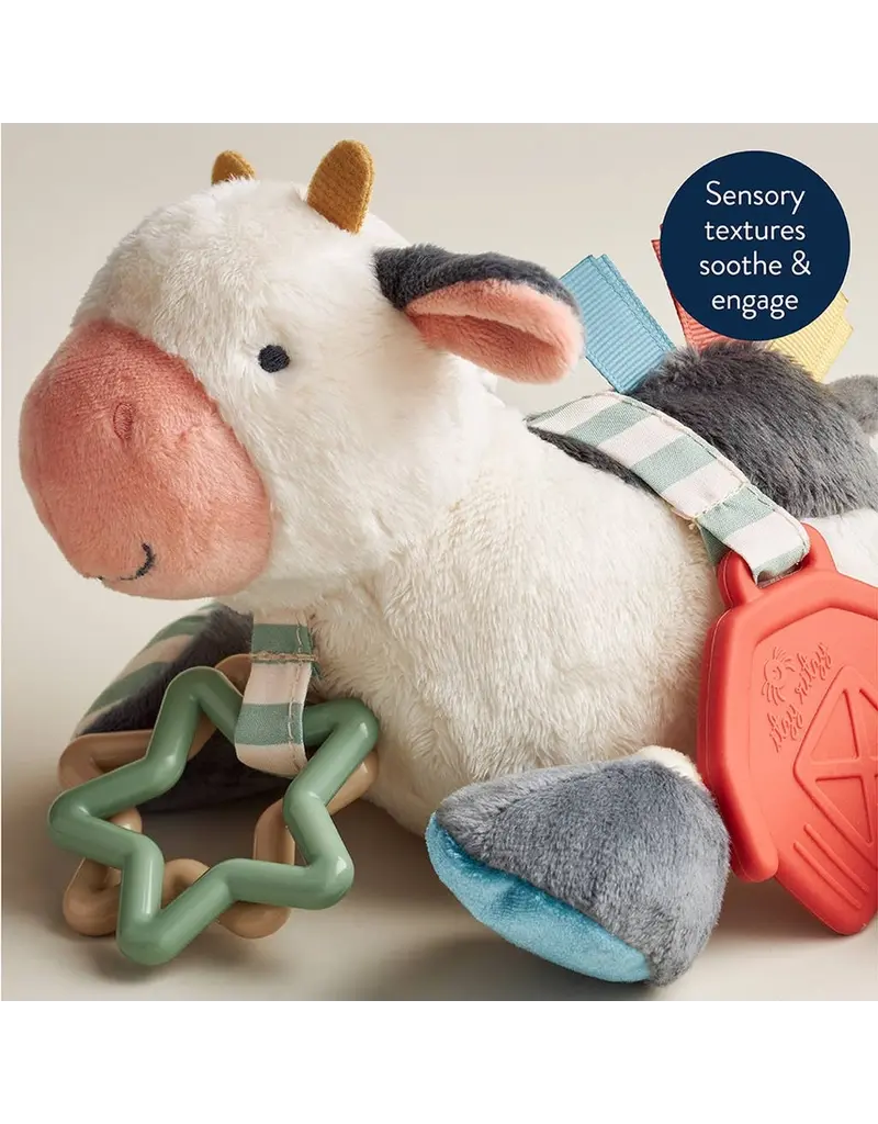 ITZY RITZY LINK & LOVE ACTIVITY PLUSH