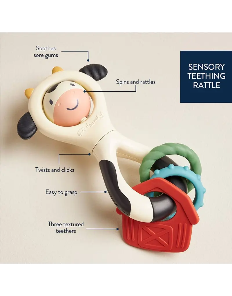 ITZY RITZY SPINNER SENSORY TEETHING RATTLE