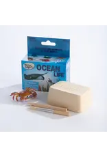 OCEAN LIFE DIG