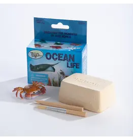 OCEAN LIFE DIG