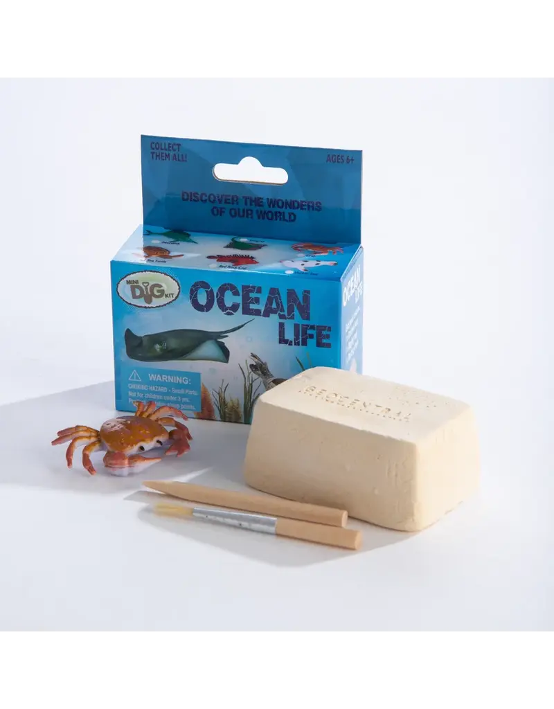 OCEAN LIFE DIG