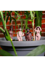GIFT REPUBLIC NAKED RAMBLERS PLANT DECORATIONS