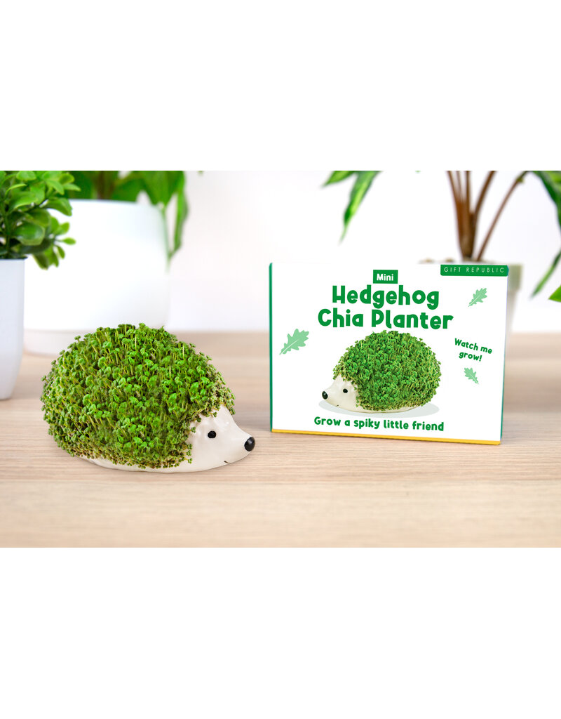 GIFT REPUBLIC MINI CHIA PET PLANTERS