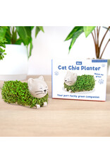 GIFT REPUBLIC MINI CHIA PET PLANTERS