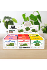 GIFT REPUBLIC MINI CHIA PET PLANTERS