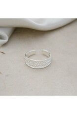 GLEE EMMY RING