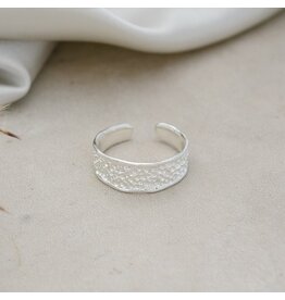 GLEE EMMY RING
