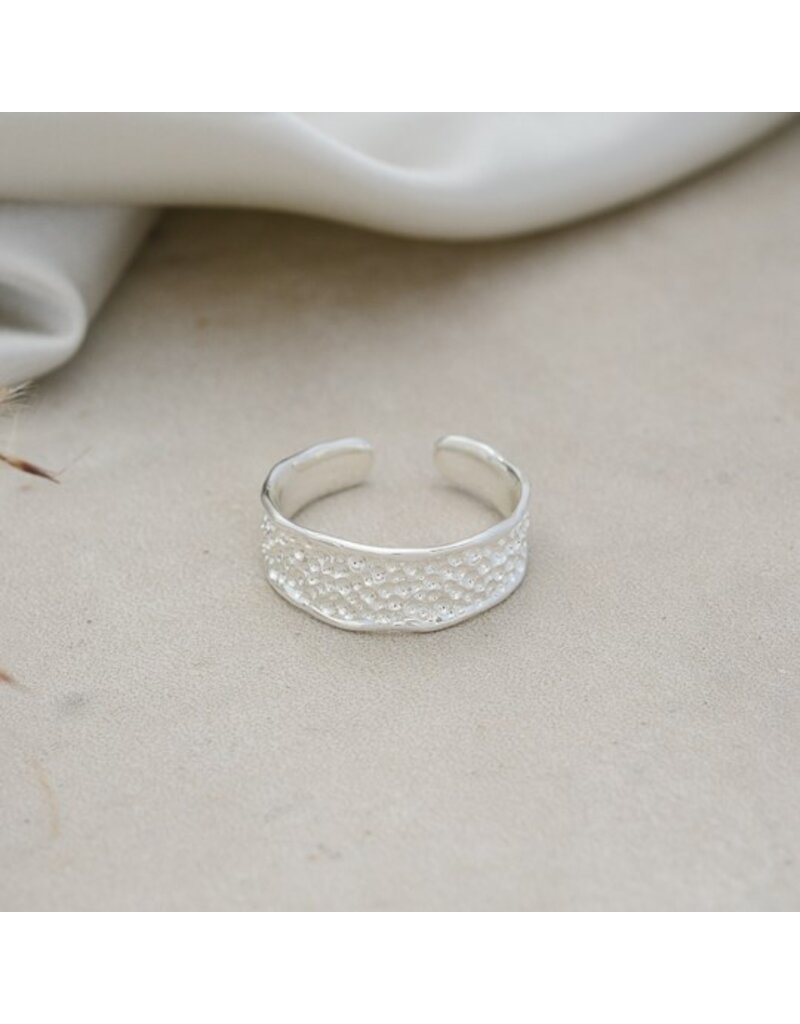 GLEE EMMY RING