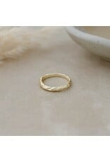 GLEE TERRAIN RING