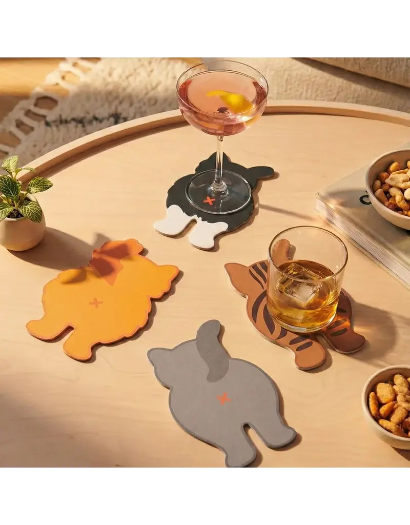 NPW GROUP COASTERS