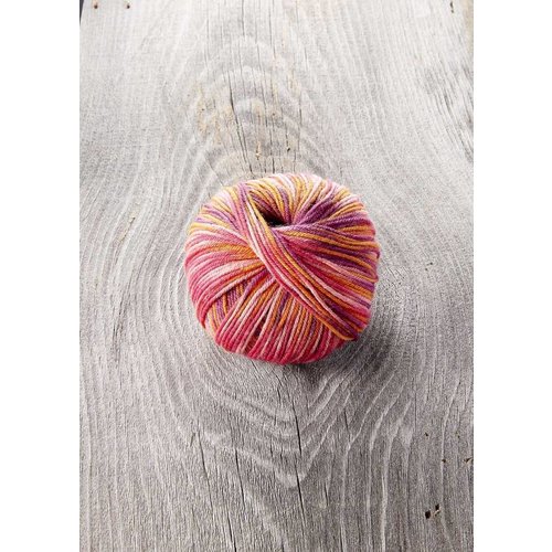 SugarBush Itty Bitty Multi - SugarBush Itty Bitty Multi -