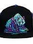 Grassroots GR Snapback Hat S/M  : Swartz Brothers Neon Dripping Panda Gray Grassroots