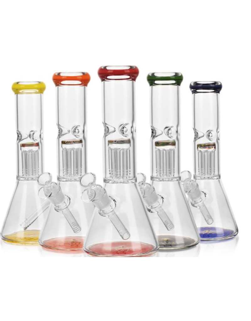 W_ 7 Perc 12 in Colored Accents_