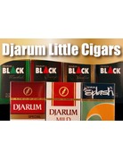 DJARUM FILTERED CIGARS