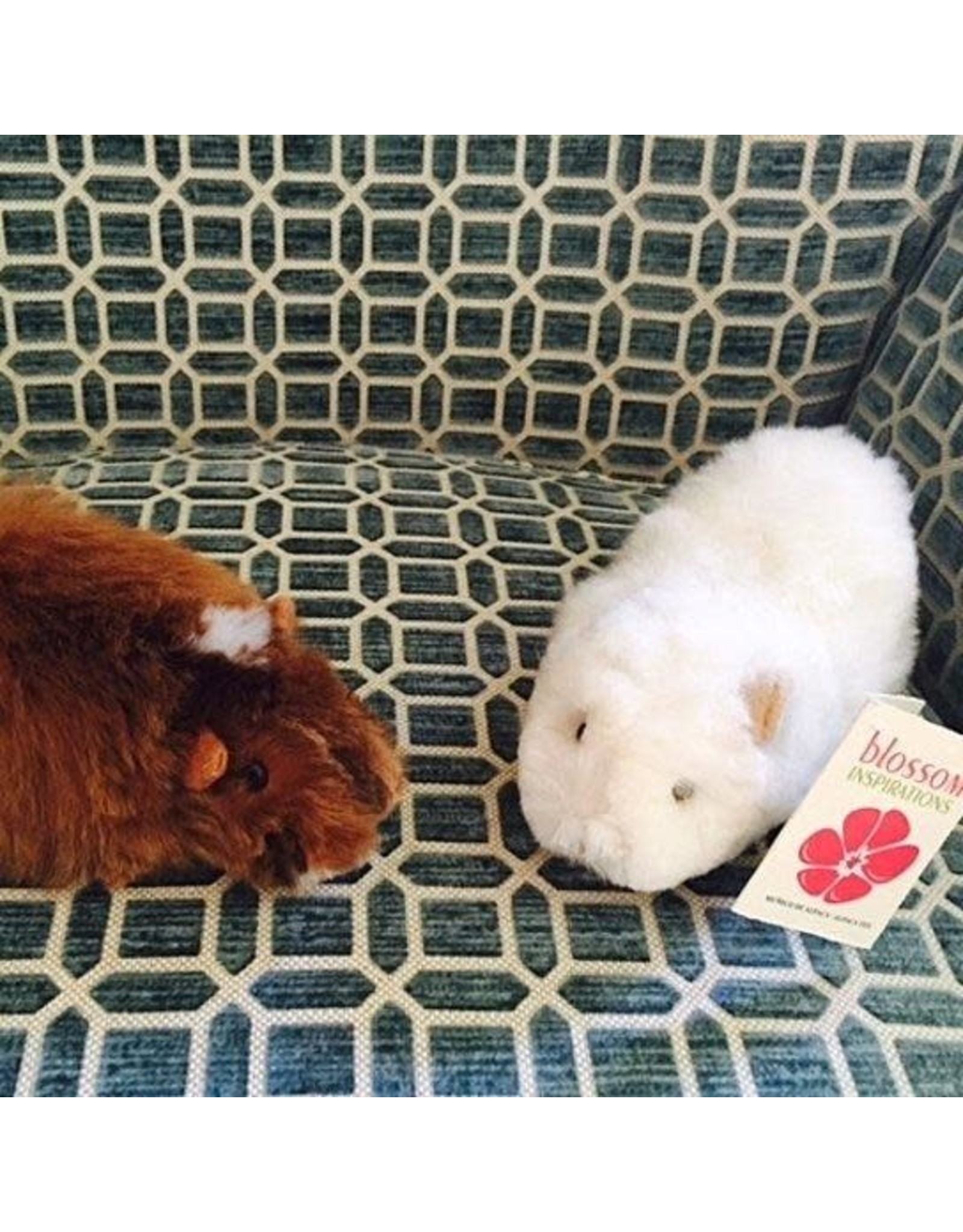 Trade roots Alpaca Fur Animal Guinea Pig Medium, 8"x3",  Peru