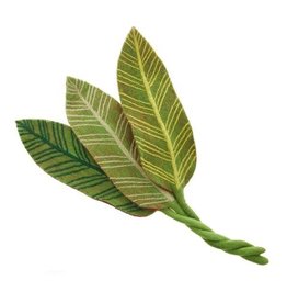 Trade roots Felt Calathea Leaf, Green Veins, Nepal