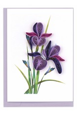 Trade roots Iris, Quill Gift Enclosure, Vietnam *