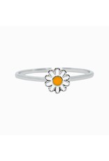 Costa Rica, Daisy Ring