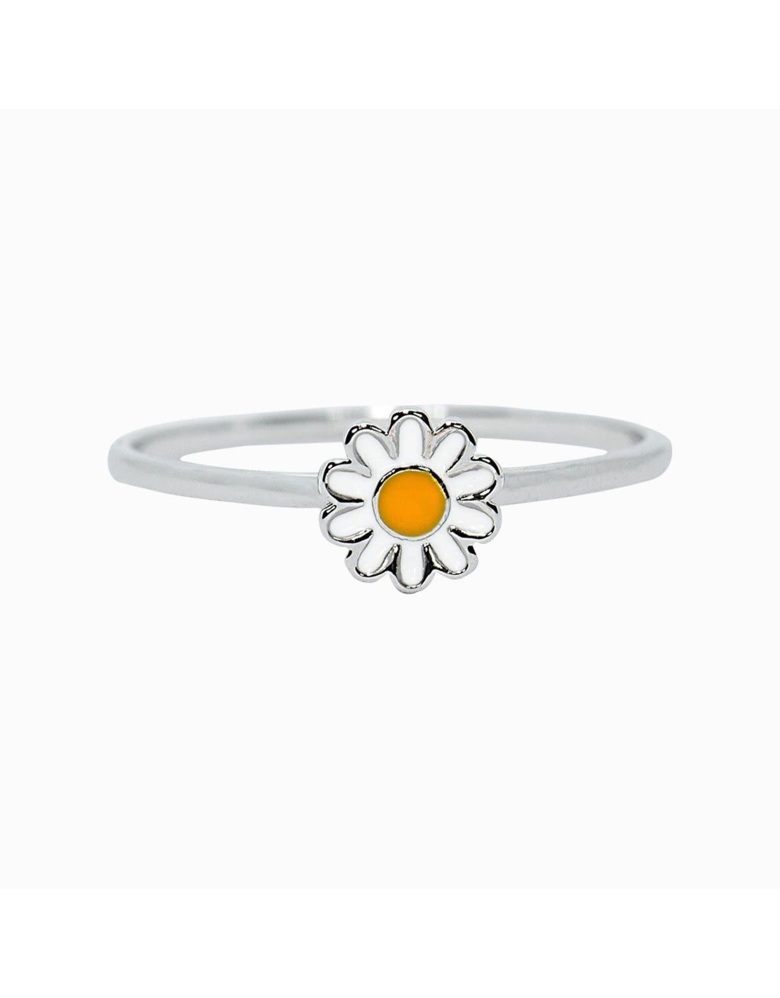 Costa Rica, Daisy Ring