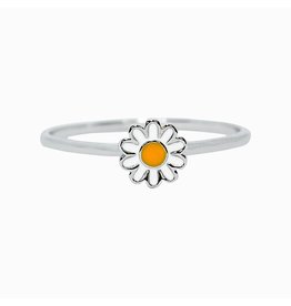 Costa Rica, Daisy Ring
