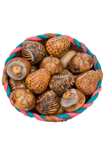 Trade roots Zoo Mix MEDIUM Gourd Ornament, Peru