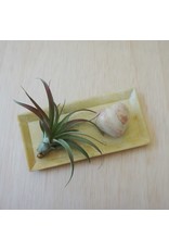 Trade roots Soapstone Natural Rectangle Dish