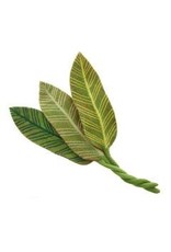 Trade roots Felt Calathea Leaf White Veins, Nepal