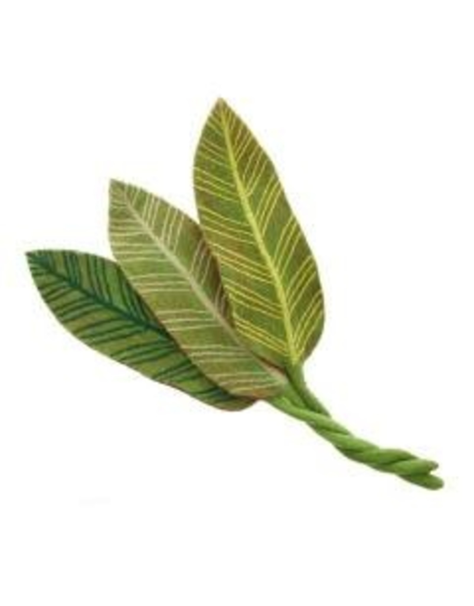Trade roots Felt Calathea Leaf White Veins, Nepal