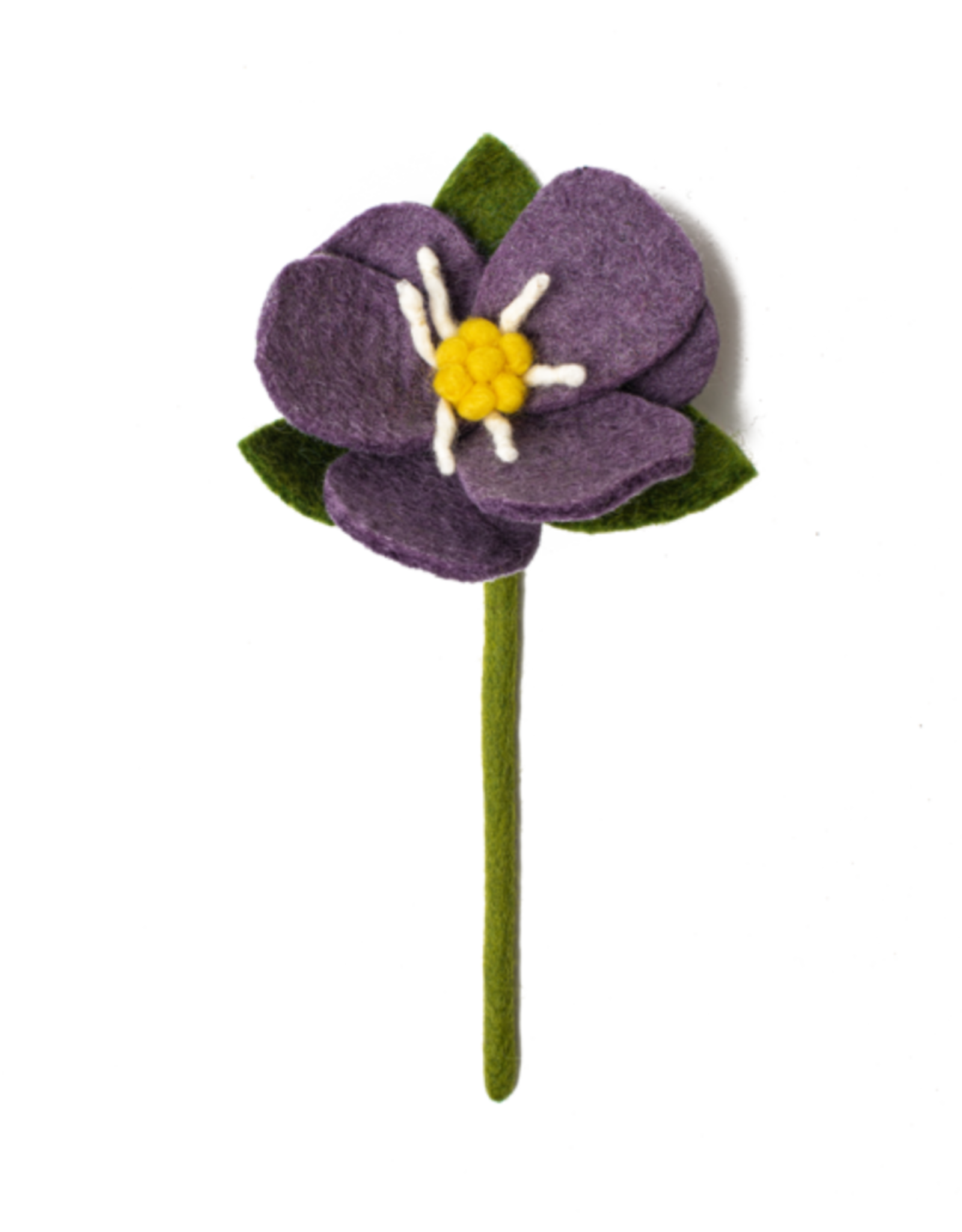 Felt Hepatica Flowers Trade Roots