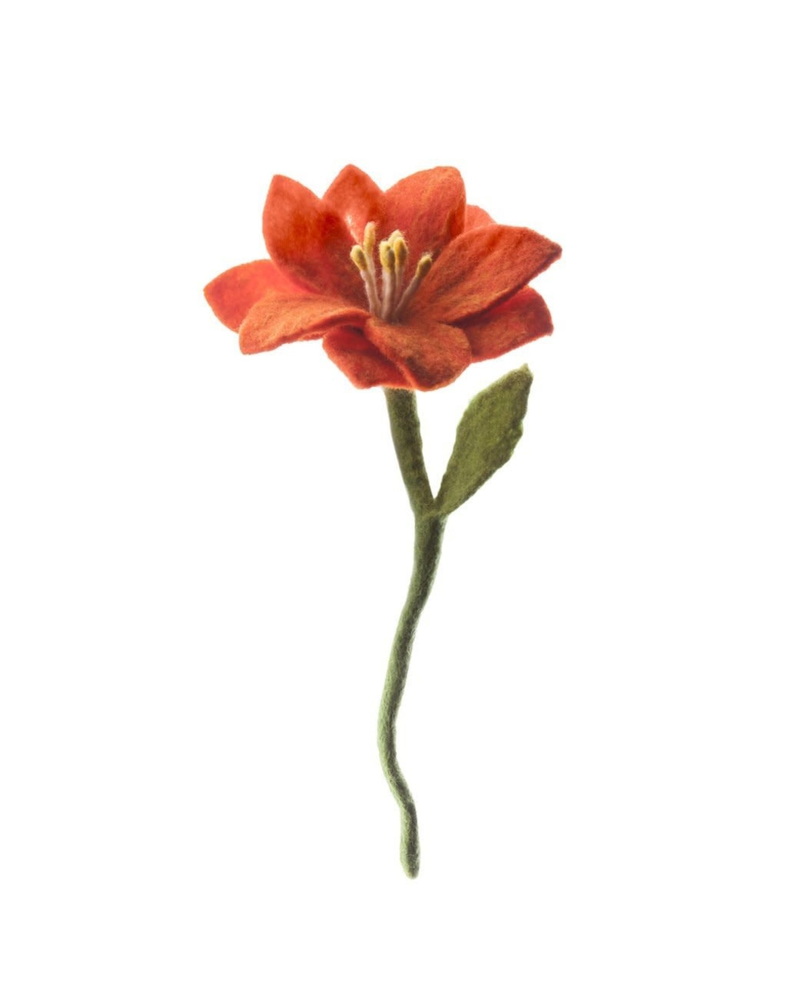 Felt Wild Flower, Nepal Trade Roots