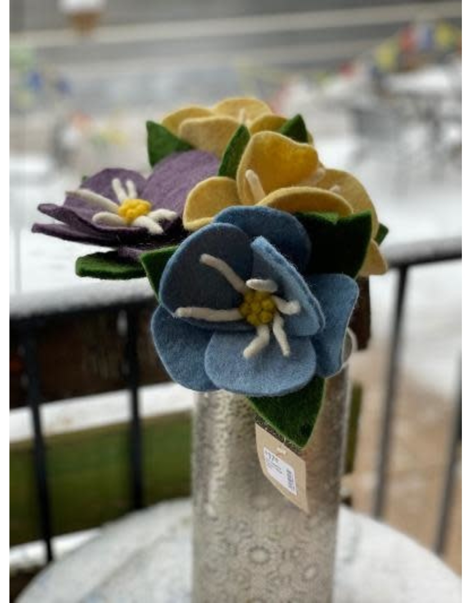 Felt Hepatica Flowers Trade Roots