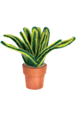 Trade roots Cactus, Snake Plant, Small, Nepal