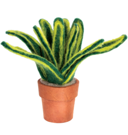 Trade roots Cactus, Snake Plant, Small, Nepal