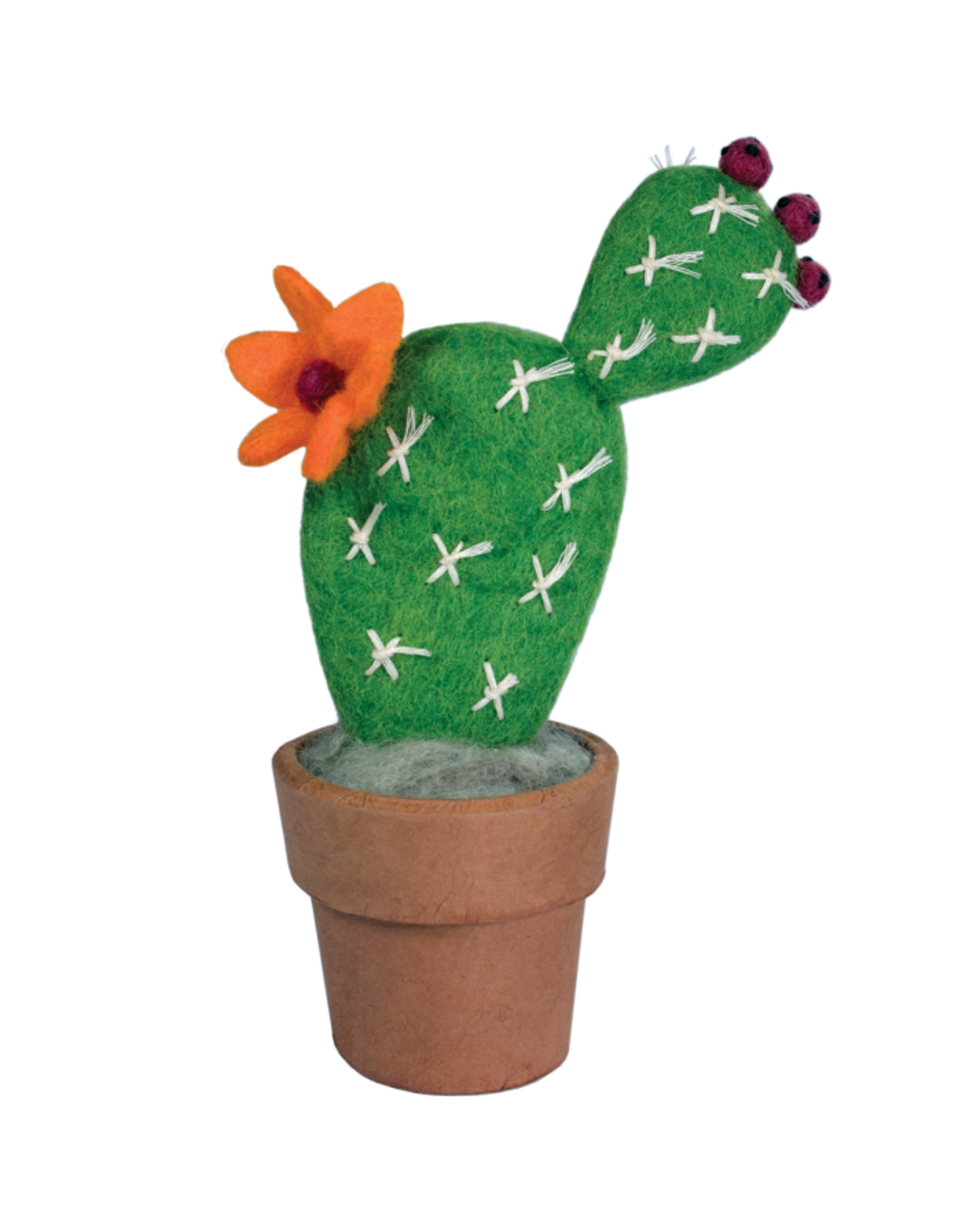 Trade roots Cactus Small Prickly Pear, Nepal