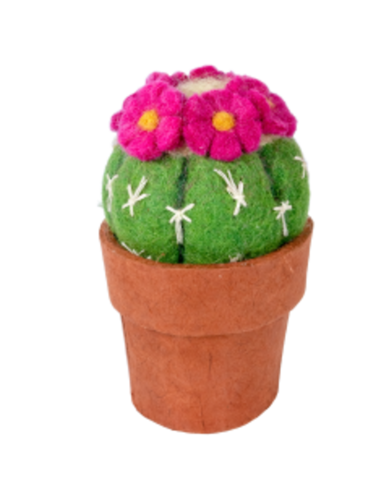 Cactus, Pin Cushion, Nepal