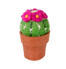 Trade roots Cactus, Pin Cushion, Nepal