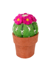 Trade roots Cactus, Pin Cushion, Nepal