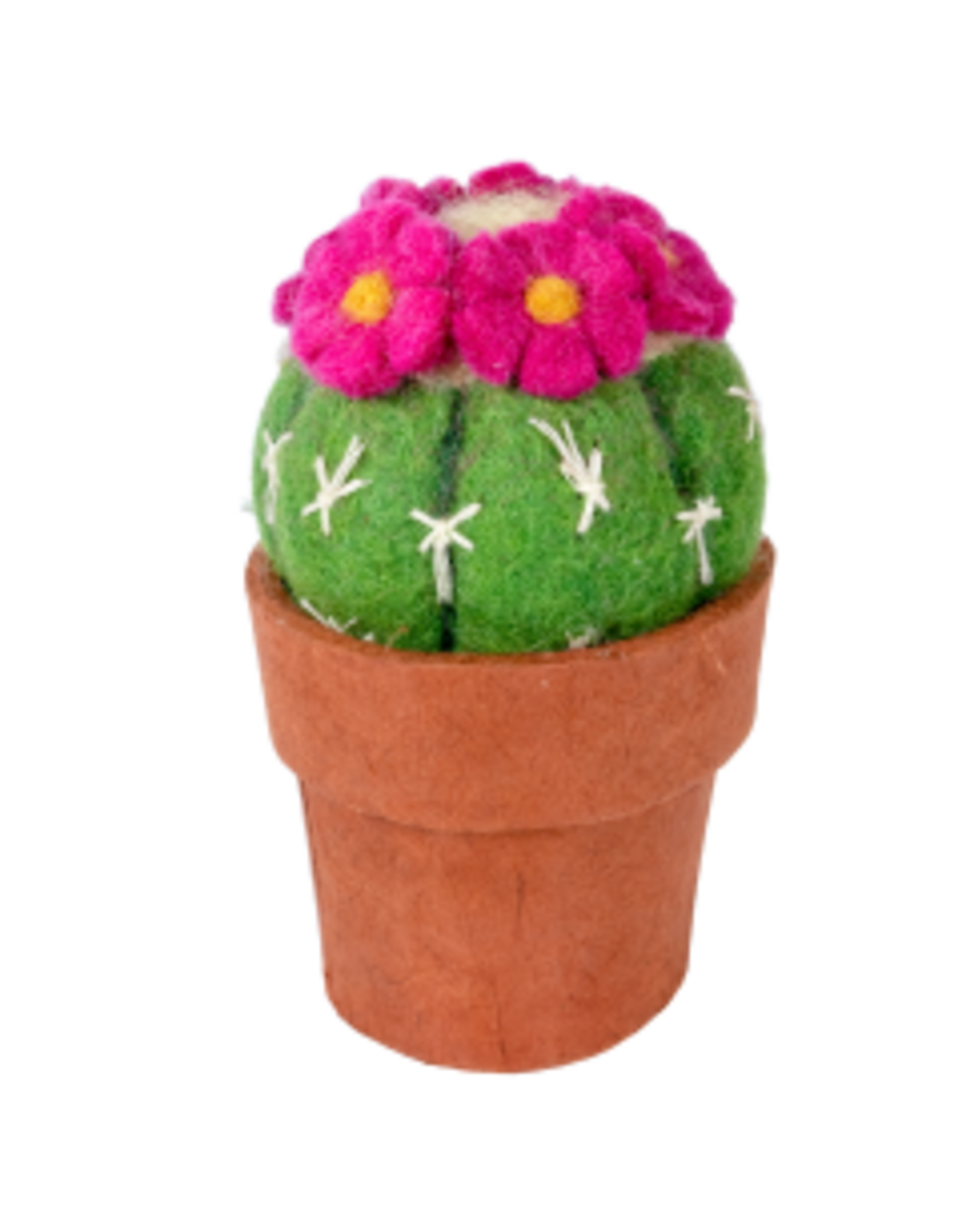 Trade roots Cactus, Pin Cushion, Nepal