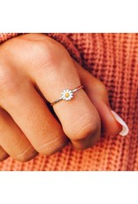 Trade roots Costa Rica, Daisy Ring