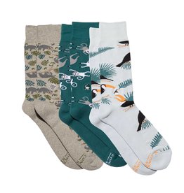 Trade roots Boxed Set, Socks that Protect the Rainforest