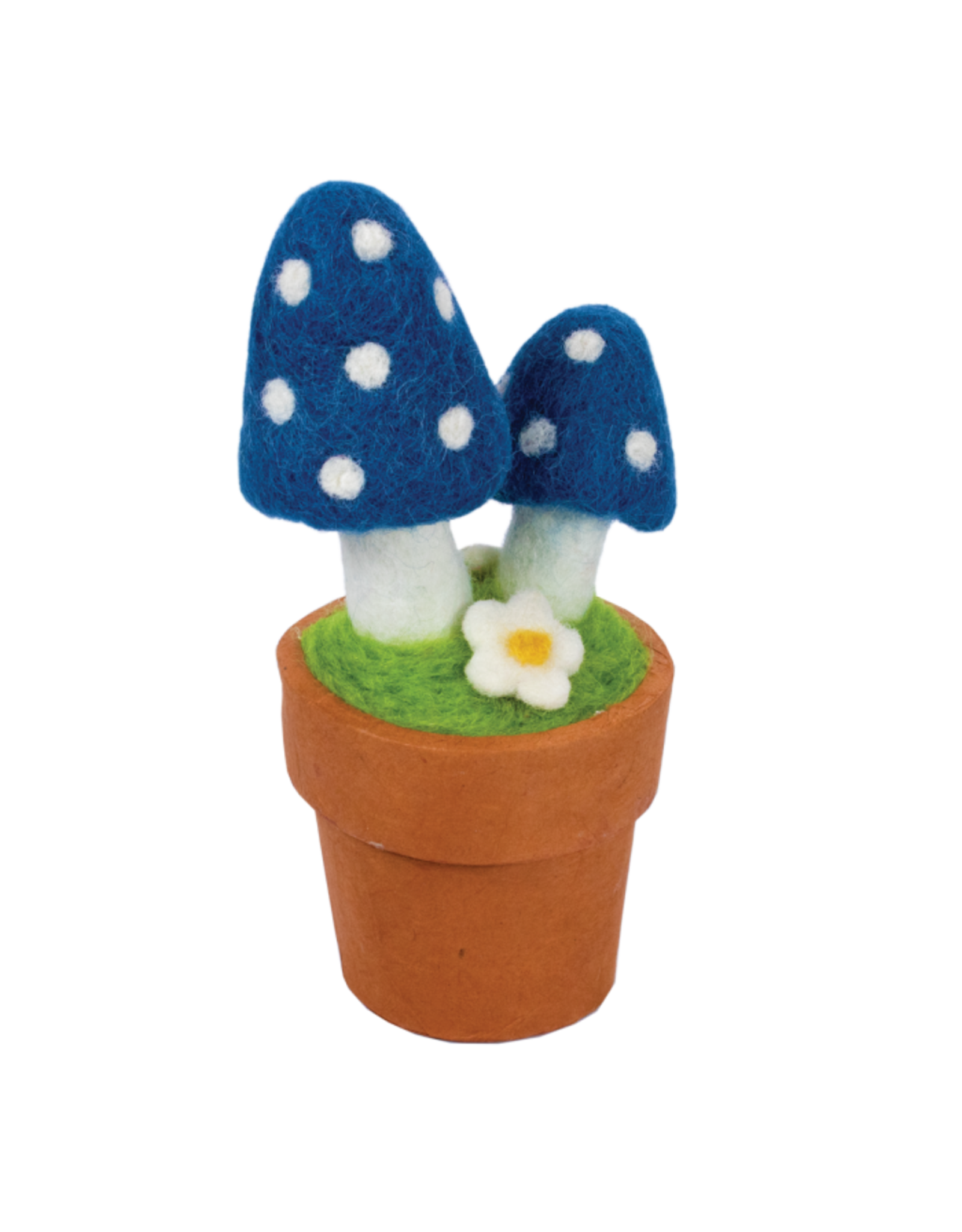 Trade roots Potted Plant Magic Mushroom Blue, Nepal